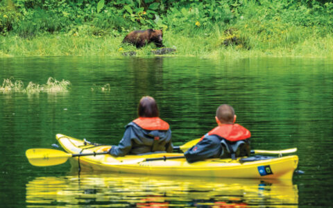 Tandem kayakers in yellow boat float in glassy water as they watch a brown bear nearby on lush green shoreline in Alaska.