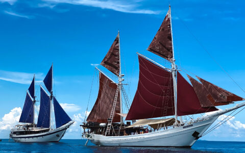 2 small white sailing ships with 5 burgundy or blue sails open, in calm blue Indonesian sea.