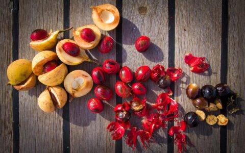 Local fruit and spices from the Indonesian islands on a wooden table