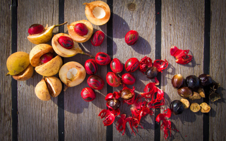 A variety of spices and fruit layed out on a table in the Spice Islands of Indonesia.