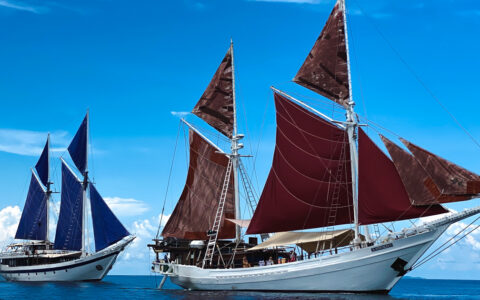 2 small wooden sailing ships with white-painted hulls & blue & burgundy sails cruise in open blue sea on a sunny day in Indonesia.