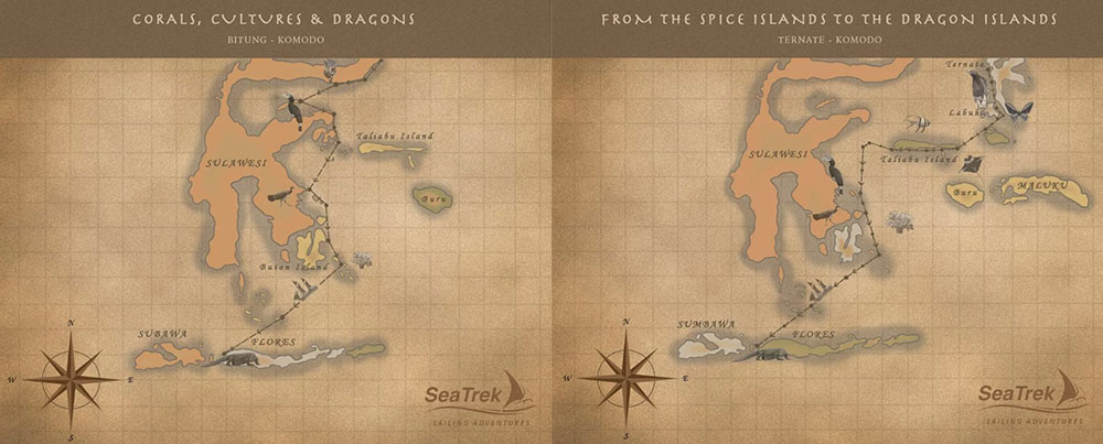 Side by side sepia maps showing southbound cruise route from Bitung and Ternate to Komodo
