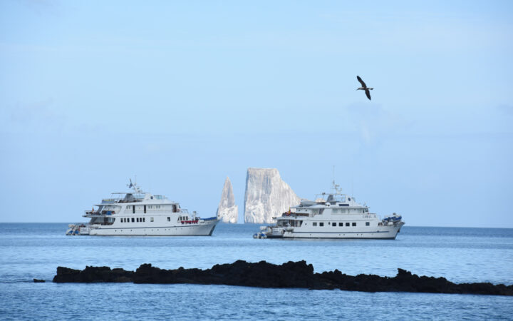 Bird flying above Coral I & Coral II yachts, shown from starboard side in Galapagos Islands