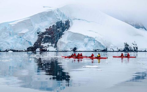 A kayak activity aboard Emblematic Antarctica cruise. A groups paddling red double kayaks in front of a large snowy mountain.