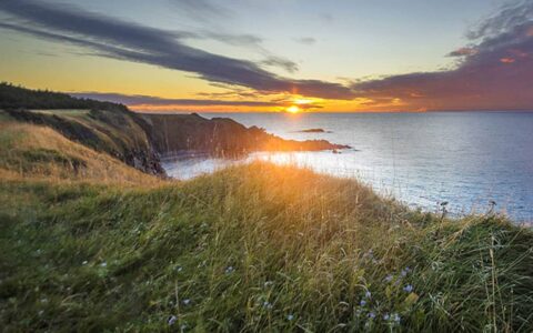 Sunset and grassy cliffs in Newfoundland