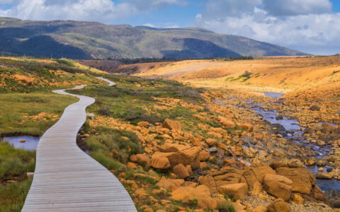 A narrow walkway streams through the yellow rocky landscape.