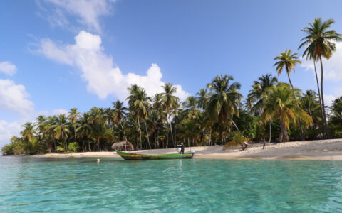 Fisherman with small colorful wood boat in turquoise water along white-sand beach with palm trees on a sunny Caribbean day.