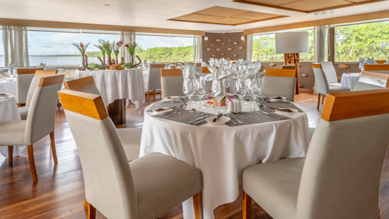 Dining room of M/V Delfin III Amazon riverboat with beige chairs & tables set in white & gray linens beside walls of windows.