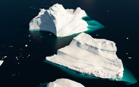 Large, bright white icebergs float in calm dark sea in Greenland, with their flanks turning turquoise just under the surface.