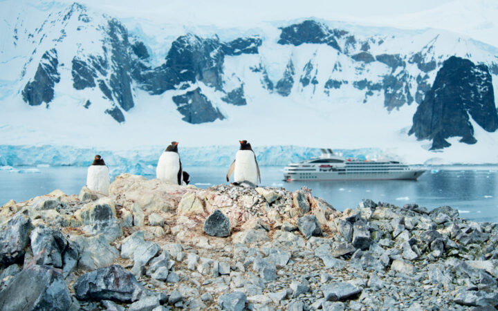 Surrounded by mountains, 3 black and white penguins with orange beaks stand on a rocky cliff overlooking a bay with a ship cruising.