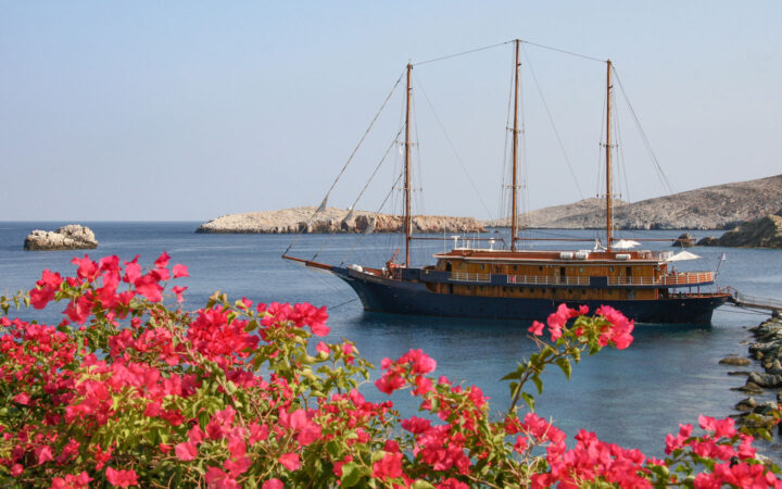 Galileo motorsailer with dark blue hull, teak sun deck & 3 masts sits at anchor in a cove flanked by bright pink flowers.