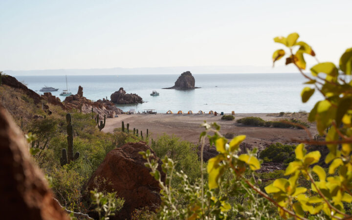 View from hillside onto sandy beach with 5 small dome-style tents for glamping Baja, surrounded by calm sea & green foliage.