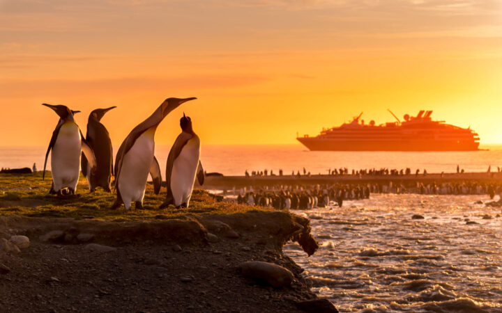 A vivid yellow orange sunset in Antarctica's South George Island. A colony of king penguin occupy the land as a ship floats offshore.
