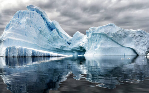 A pair of large icebergs reflect icy blue into glassy waters during the Great Austral Loop luxury Antarctica voyage.