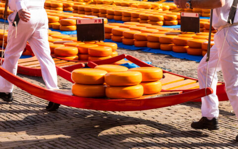Workers in white carry orange-yellow wheels of cheese on a red wood sled over cobblestone, seen on a Holland river cruise.
