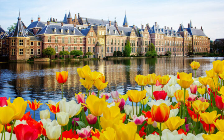 Yellow, red & white tulips line a calm river beside a red brick building with sharp steeples, seen on a Holland river cruise.
