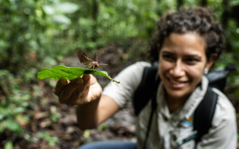 Female expedition leader shows off local insets at the the Smithsonian Tropical Research Institute, Barro Colorado, Panama.