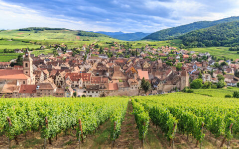 Panorama View of Riquewihr village in Alsace, France