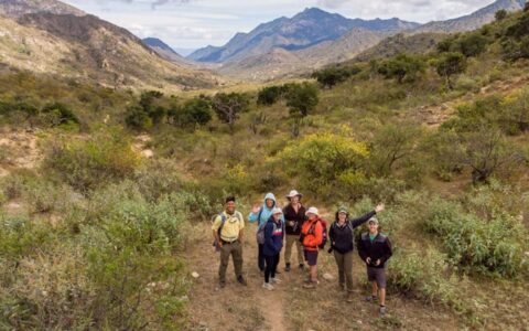 Group of hikers smile for a photo among rugged green & gold mountains on the Seas & Sierra: Glamping Baja California Sur land tour,