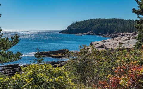 Rocky & forested shoreline of Bar Harbor, Maine on a sunny day seen on a St. Lawrence River cruise.