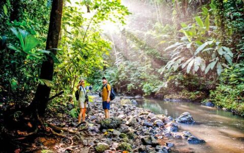 Travelers hiking on a costa rica jungle tour in Corcovado National Park with a stream next to them and sunbeams coming through the green canopy