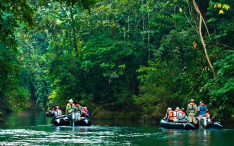 adventure travelers in zodiac boats cruise down a jungle river in corcovado national park in costa rica