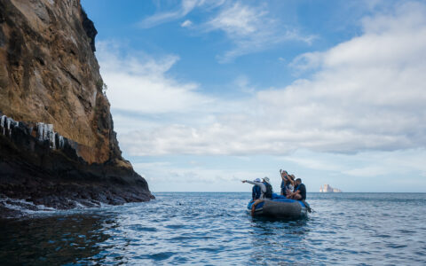 Travelers on a zodiac enjoying a wildlife viewing pointing to birds on the galapagos waters