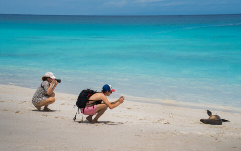 Two travelers squatted down on a picture-perfect beach snapping pictures of a sea lion lying out