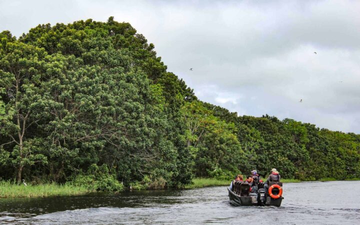 A zodiac tour with Amazon travelers looking at land with lush green foliage.