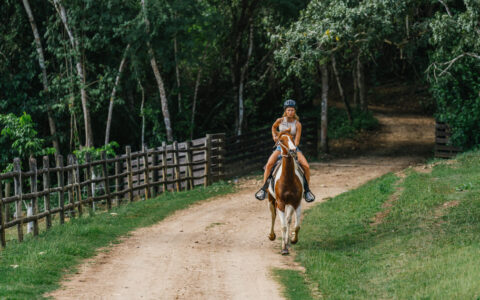 Woman rides brown & white horse on dirt road beside black wooden fence & dense forest on a Belize jungle tour.