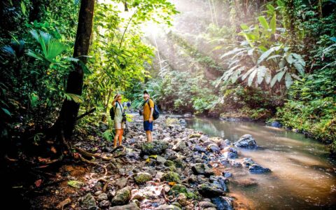Travelers hiking on a costa rica jungle tour in Corcovado National Park with a stream next to them and sunbeams coming through the green canopy