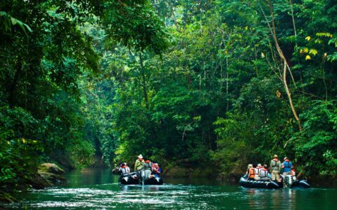 adventure travelers in zodiac boats cruise down a jungle river in corcovado national park in costa rica