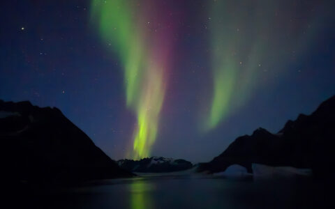 Northern lights of green & purple light up the sky above dark mountains overlooking a fjord in southeast Greenland.
