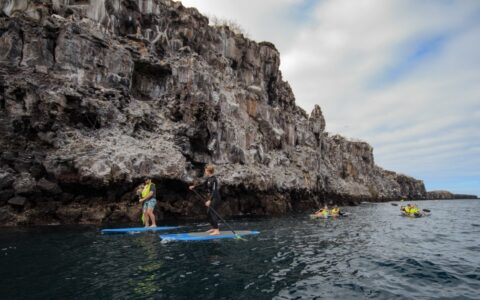 2 stand-up paddleboarders & 2 kayakers paddle beside tall gray cliffs on a partly cloudy day during an Elite Galapagos cruise.