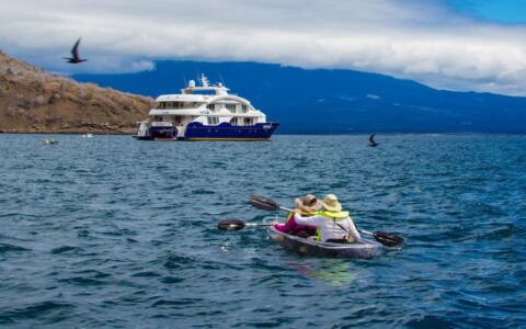 Tandem kayakers in bright yellow PFDs paddle calm water toward a blue & white catamaran with birds overhead on a sunny day in the Galapagos.