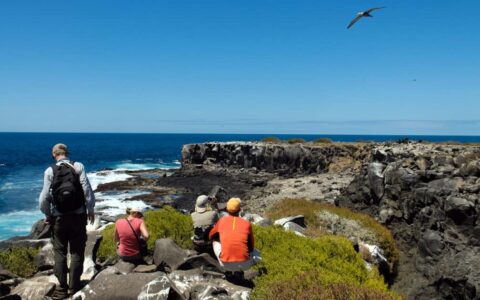 guests of the luxury cruise seaman journey walk and sit on a rocky bluff overlooking the ocean at the Galapagos islands while a bird flies in the blue sky