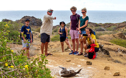 A group of travelers listens as their Galapagos park guide points towards a blue footed boobie nesting on the dirt
