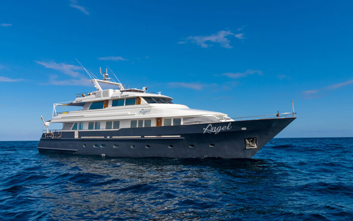 The blue-hulled Galapagos Angel yacht seen on its starboard side at sea