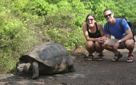 Young man & woman kneel down & smile behind a Galapagos tortoise as it walks away during a Grand Majestic cruise.