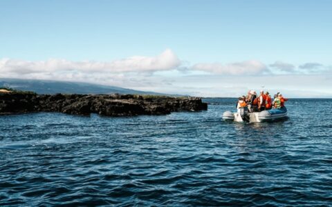 Galapagos travelers ride in a panga boat with an outboard motor, viewing a dark lava rock shore on a Grand Majestic cruise.