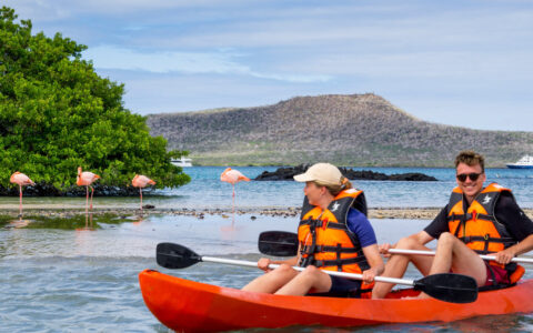 Tandem kayakers in red boat paddle near a flock of pink flamingoes on a sunny day during a Grand Majestic Galapagos Cruise.