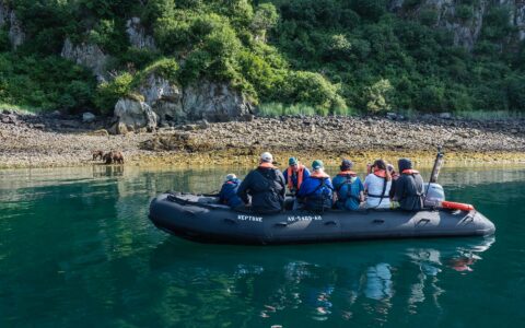 Zodiac boat with Great Bear Rainforest guests sits near shoreline, watching bears walk on the sand in Alaska.