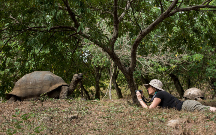 A traveler wearing a tan safari hat lays on the ground with camera in hand for a photo of the giant Galapagos tortoise in front of her.