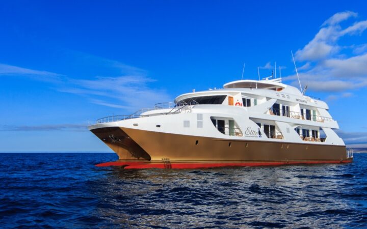 Exterior of mc Elite Galapagos catamaran with gold hull & 3 white decks, cruising in calm open water on a sunny day.
