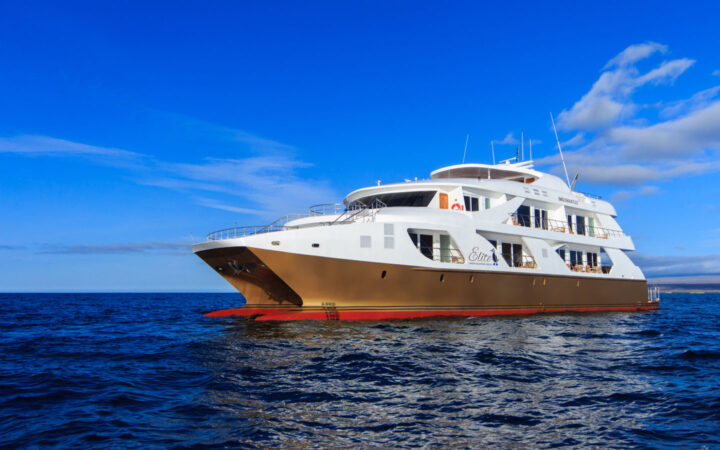 Exterior of mc Elite Galapagos catamaran with gold hull & 3 white decks, cruising in calm open water on a sunny day.