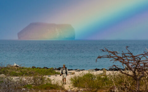 An expedition guide photographs animals on the beach with a rainbow behind them during a Nat Geo Galapagos by Catamaran cruise.