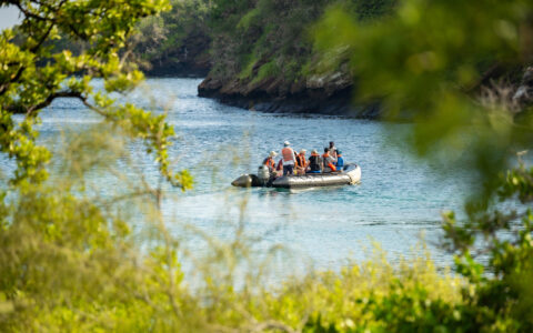 Guests exploring by Zodiac cruise among lush green shoreline during a Nat Geo Galapagos catamaran cruise on Delfina.