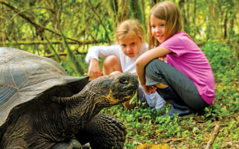 2 young girls crouch down beside a giant tortoise among bright green grass and moss during the Wild Galapagos Escape Cruise