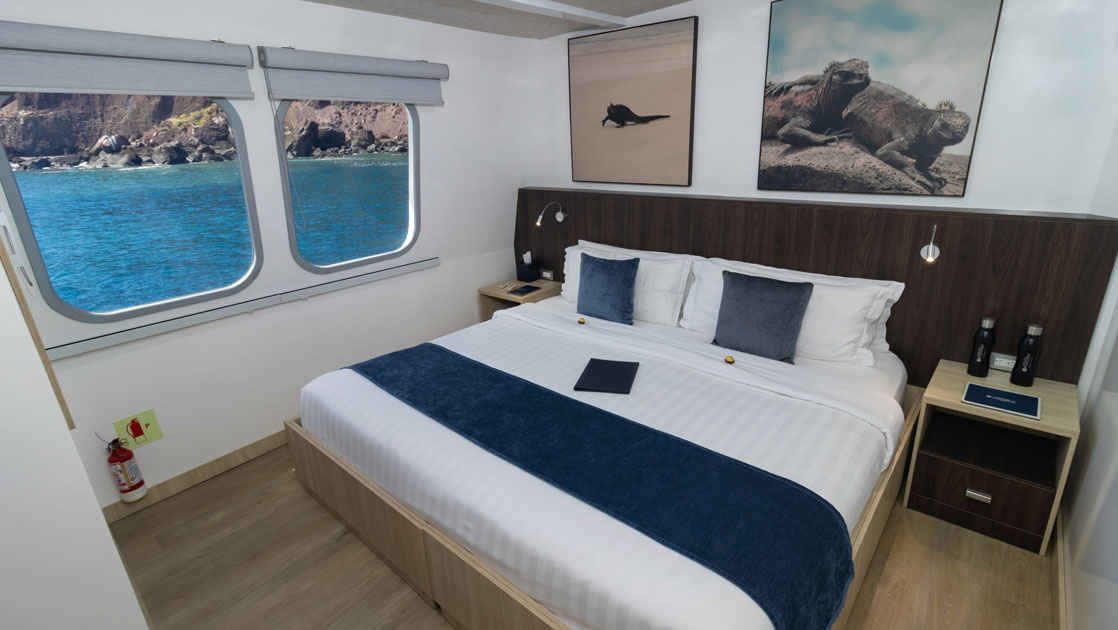 Main Deck Standard Cabin with king bed in blue & white linens, framed Galapagos photos & view windows aboard Natural Paradise.