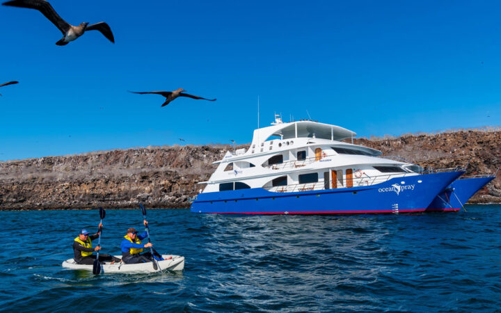 Tandem kayakers in silver boat paddle calm sea beside Ocean Spray Galapagos catamaran as frigatebirds soar overhead in the sun.
